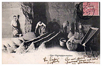 carriere souterraine spinelli champisac